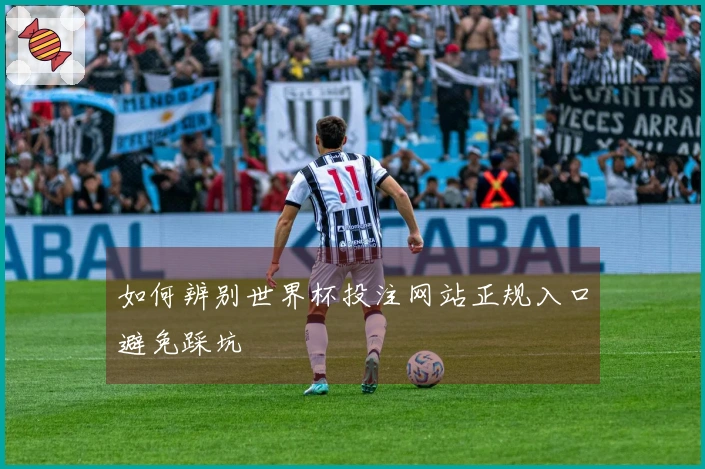 如何辨别世界杯投注网站正规入口避免踩坑