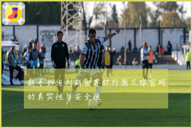 新手如何判断世界杯外围买球官网的真实性与安全性