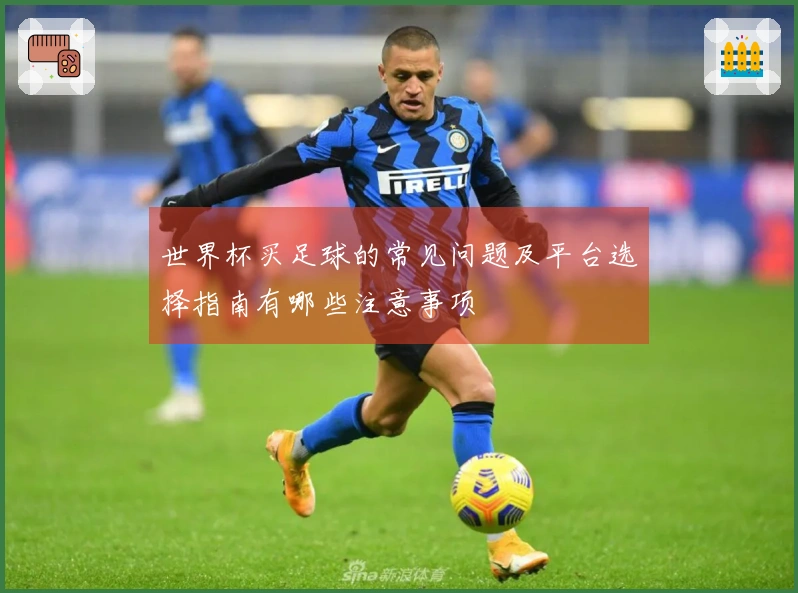 世界杯买足球的常见问题及平台选择指南有哪些注意事项