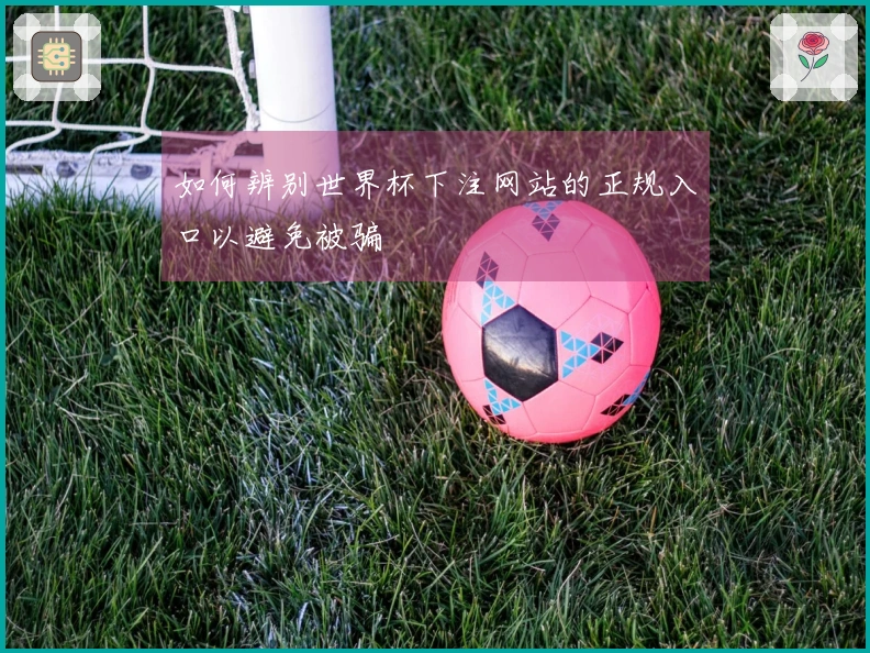 如何辨别世界杯下注网站的正规入口以避免被骗