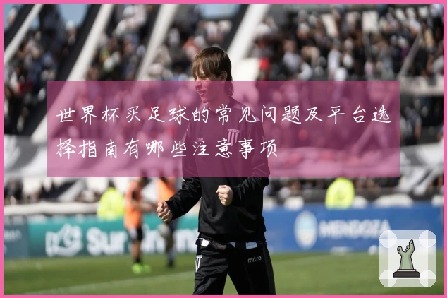 世界杯买足球的常见问题及平台选择指南有哪些注意事项