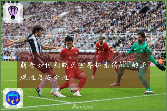 新手如何判断买世界杯竞猜APP的正规性与安全性