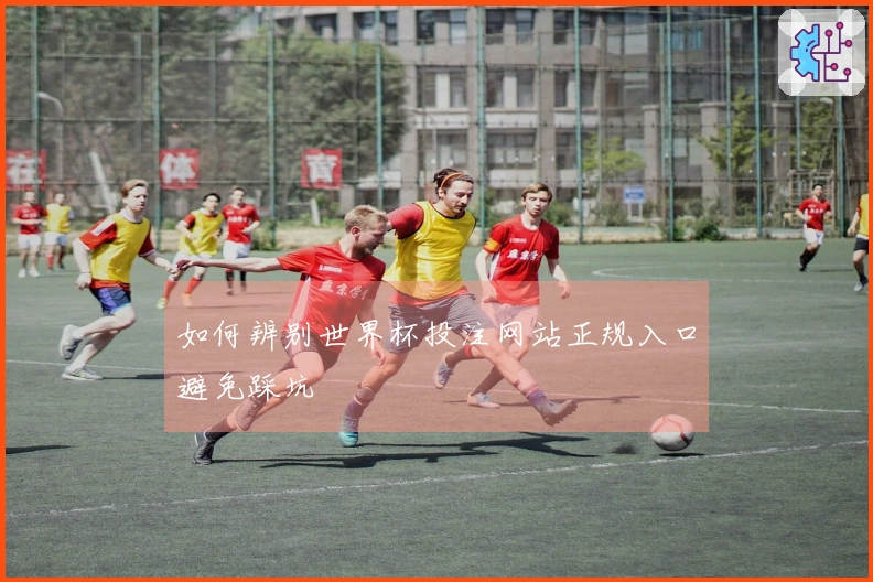如何辨别世界杯投注网站正规入口避免踩坑