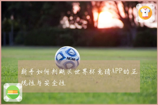 新手如何判断买世界杯竞猜APP的正规性与安全性
